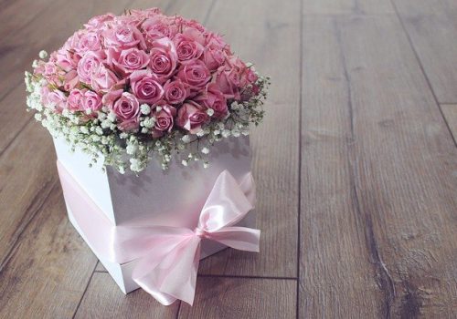 flower-3215149_640 flower-3215149_640